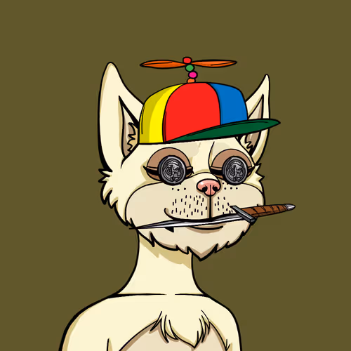 Boredcatyachtclub