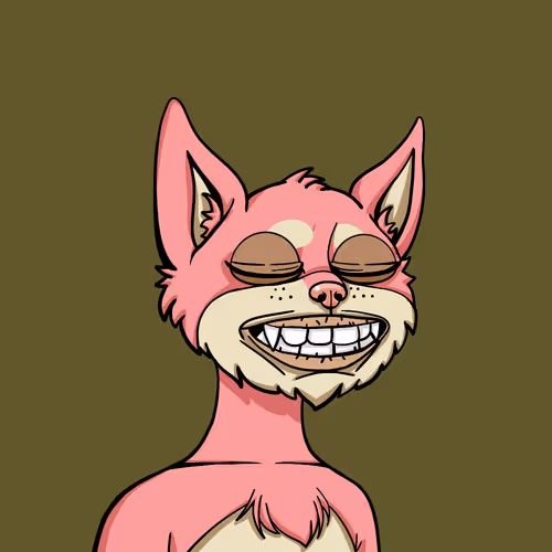 Boredcatyachtclub