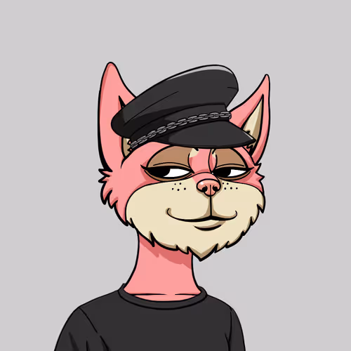 Boredcatyachtclub