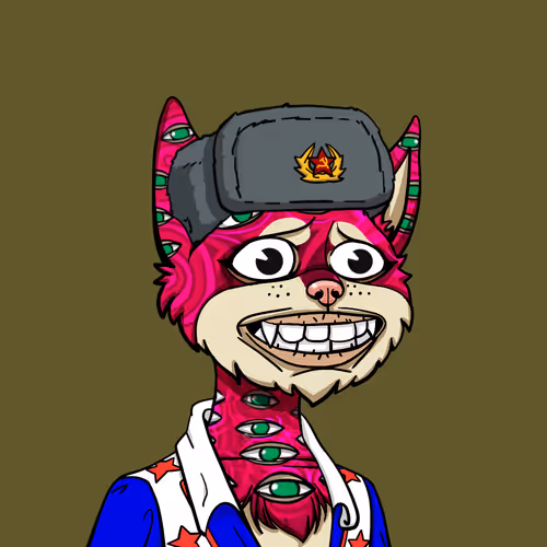 Boredcatyachtclub