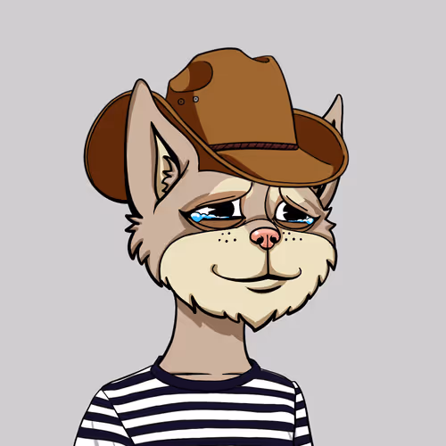 Boredcatyachtclub