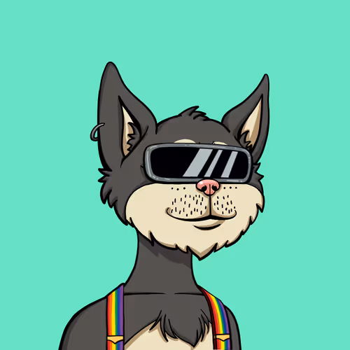 Boredcatyachtclub