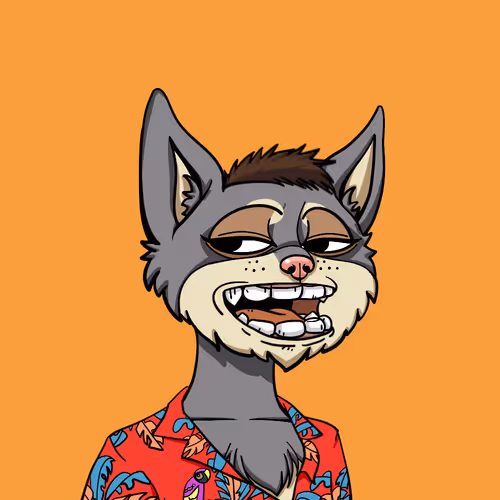 Boredcatyachtclub