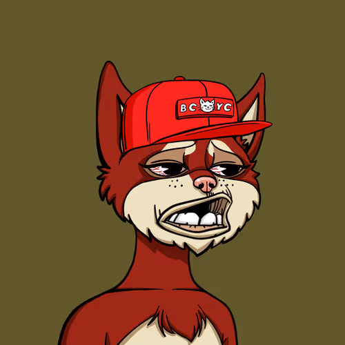 Boredcatyachtclub