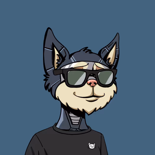Boredcatyachtclub