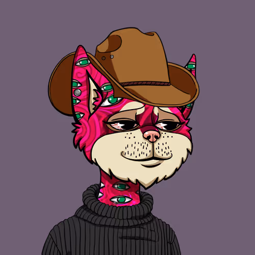 Boredcatyachtclub