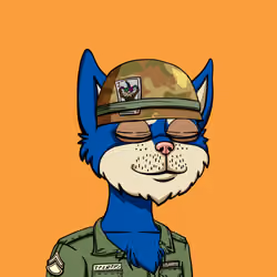 Bored Cat Yacht Club #1260