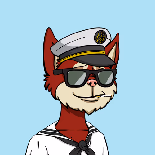 Boredcatyachtclub