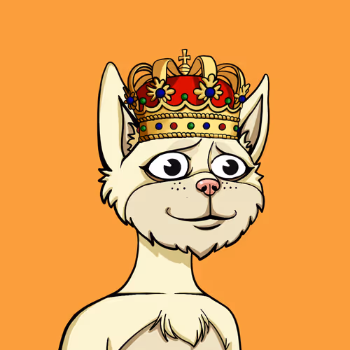 Boredcatyachtclub