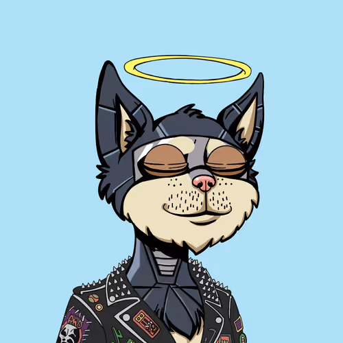 Boredcatyachtclub
