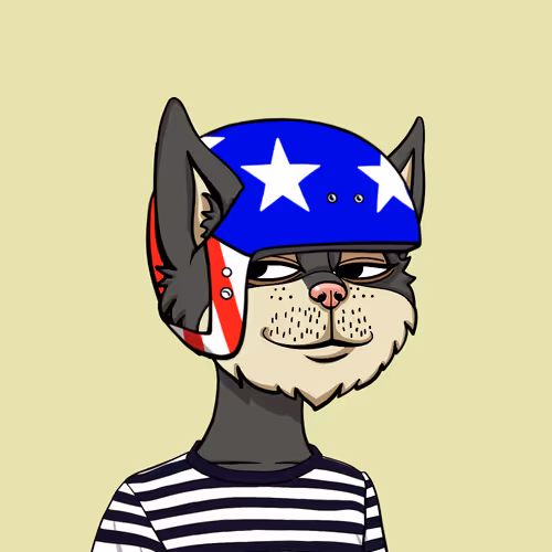 Boredcatyachtclub