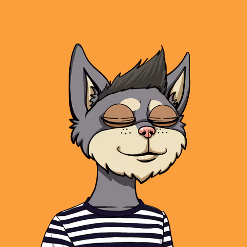 Boredcatyachtclub