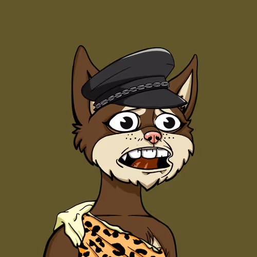 Boredcatyachtclub