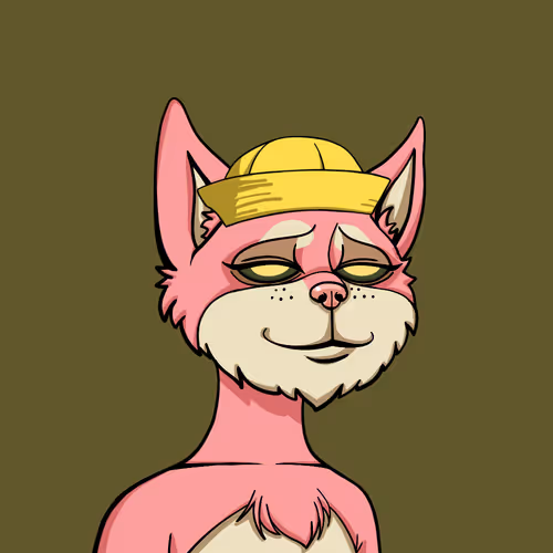 Boredcatyachtclub