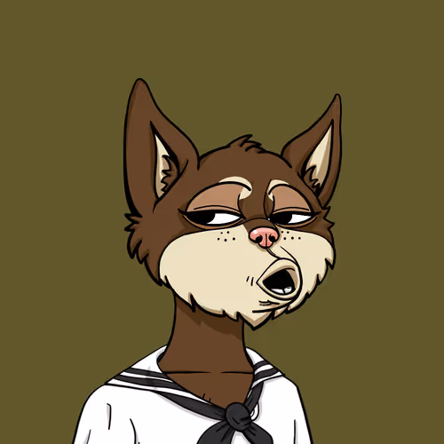 Boredcatyachtclub