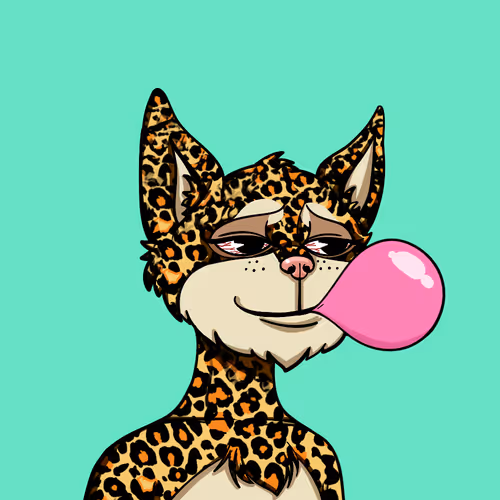Boredcatyachtclub