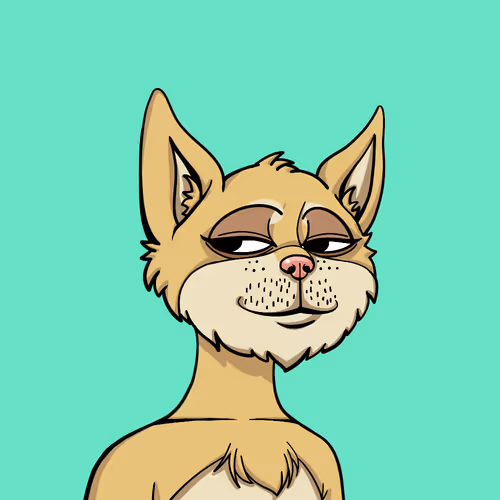 Boredcatyachtclub