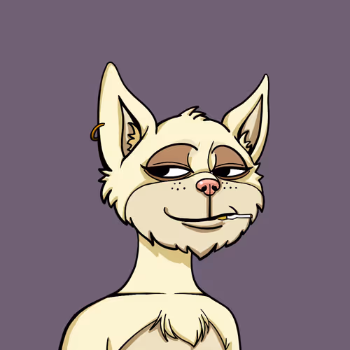 Boredcatyachtclub