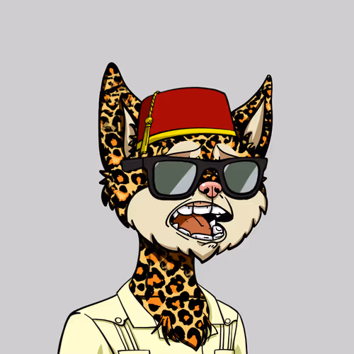 Boredcatyachtclub