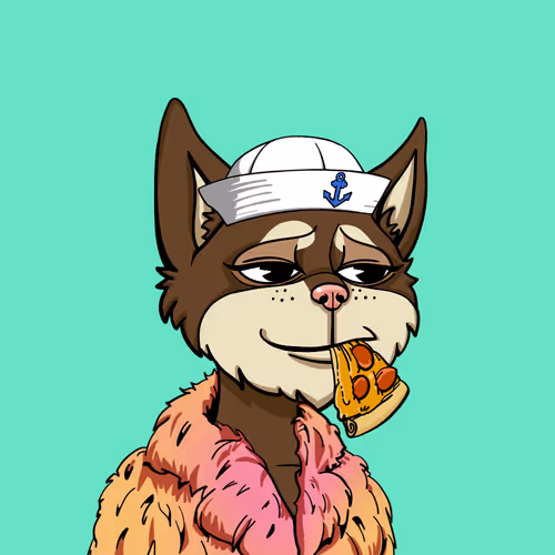 Boredcatyachtclub