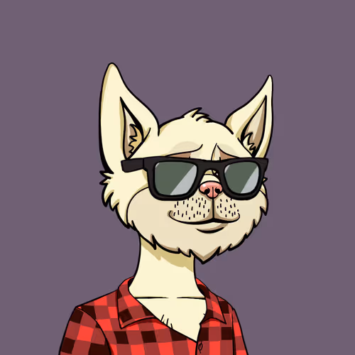 Boredcatyachtclub