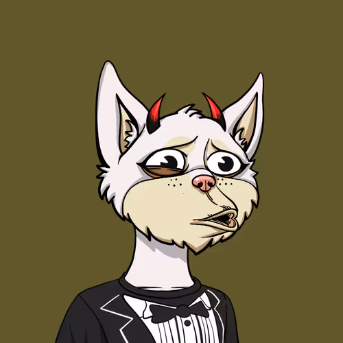Boredcatyachtclub