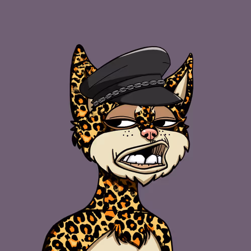 Boredcatyachtclub