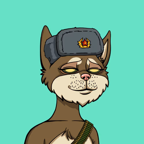 Boredcatyachtclub
