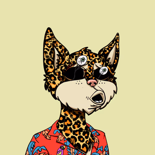 Boredcatyachtclub