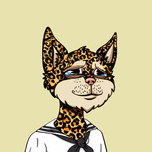Boredcatyachtclub