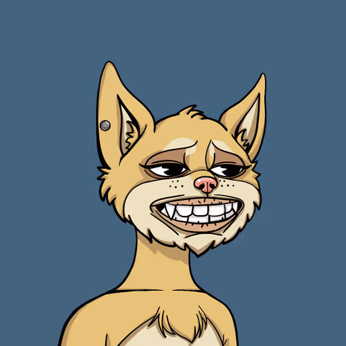 Boredcatyachtclub