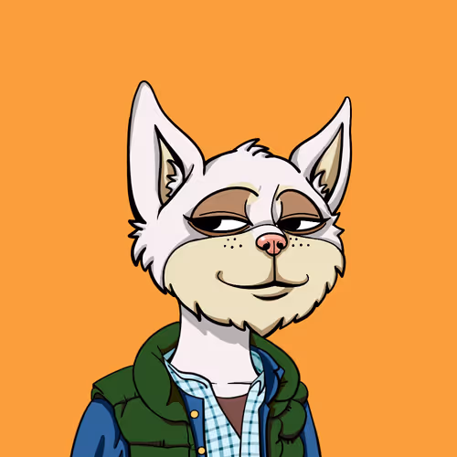 Boredcatyachtclub