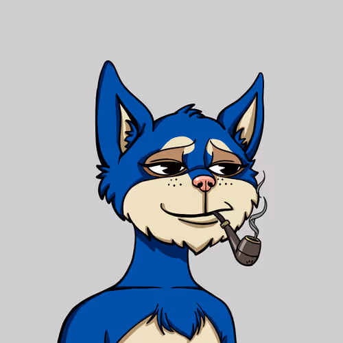 Boredcatyachtclub