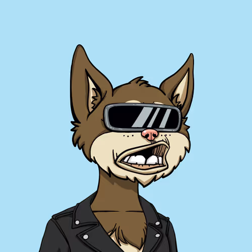 Boredcatyachtclub