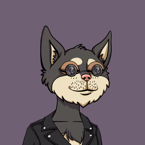 Boredcatyachtclub