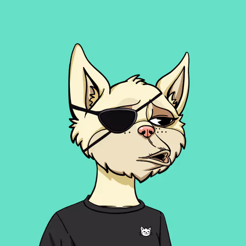 Boredcatyachtclub