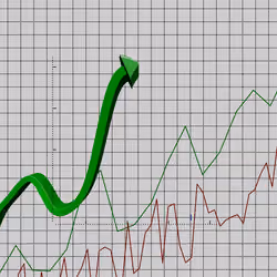 Wen Bullish #342