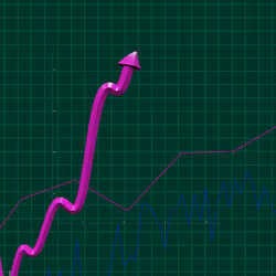 Wen Bullish #740
