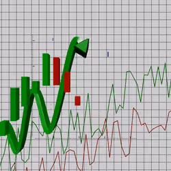 Wen Bullish #343