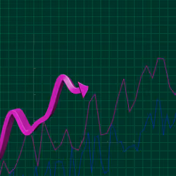 Wen Bullish #431