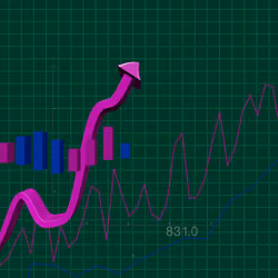 Wen Bullish #218