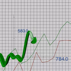 Wen Bullish #769