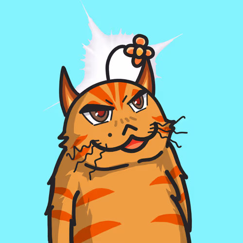 I Cat You