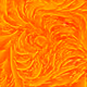 593