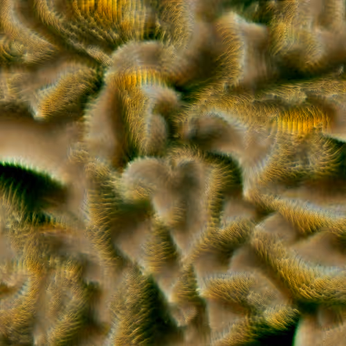 Genomes 4