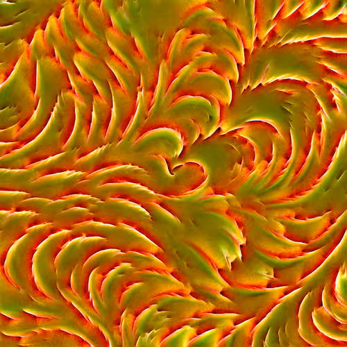 Genomes 4