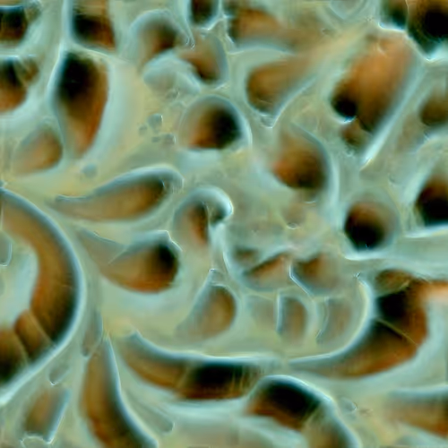 Genomes 4
