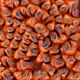 1706