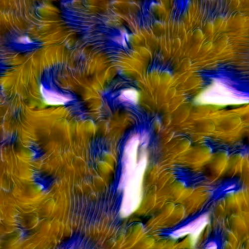 Genomes #441