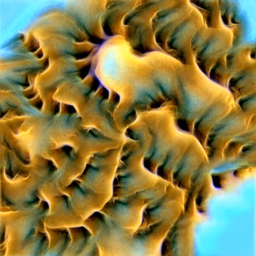 Genomes 4